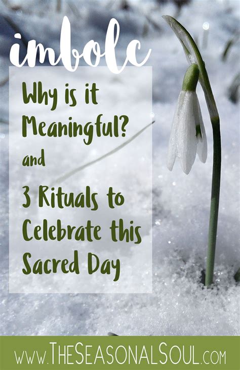 The importance of seeds and plant life during Imbolc celebrations
